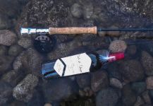  eastern brook trout – Situación de Pesca con Mosca – Por MARCELO ROIG