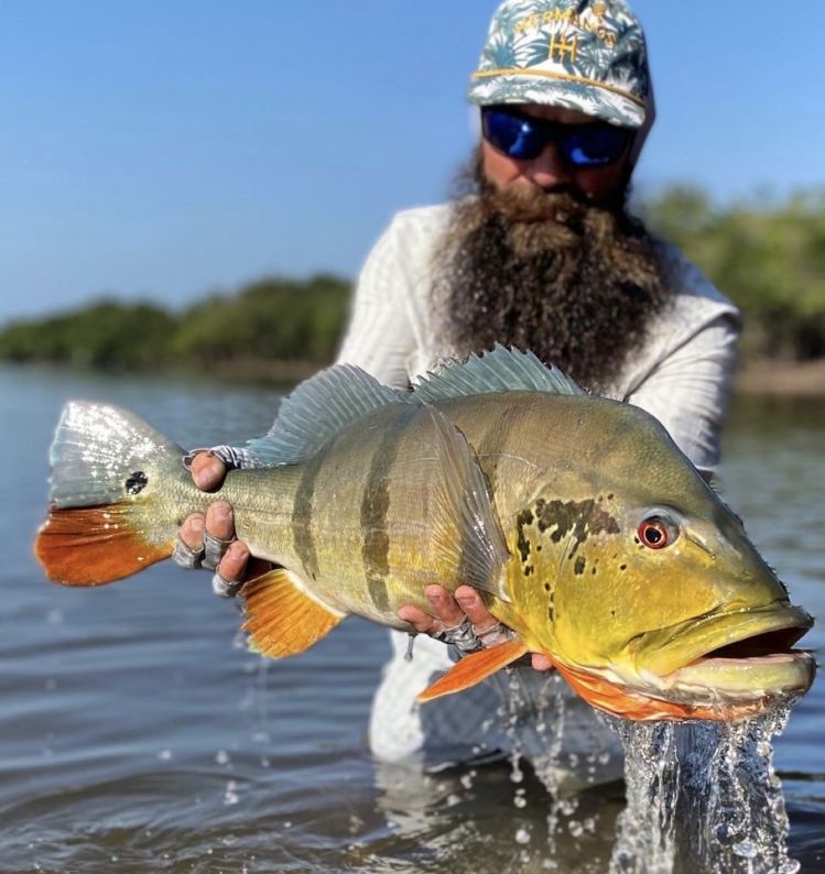 AFLOAT your best fly fishing destination for peacock bass in Colombia
