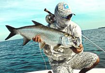 Tarpon / Sábalo 