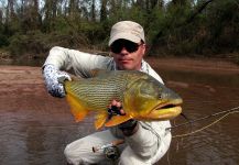  Captura de Pesca con Mosca de Golden dorado por Pablo Gustavo Castro | Fly dreamers