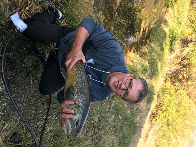 Utah tiger trout