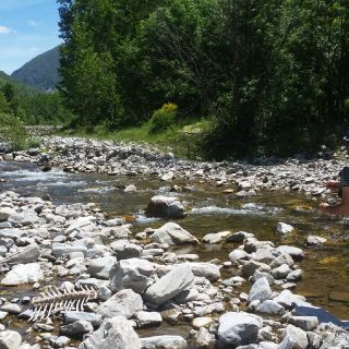 Foto de pesca con mosca