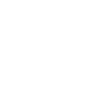 The Fly Shop