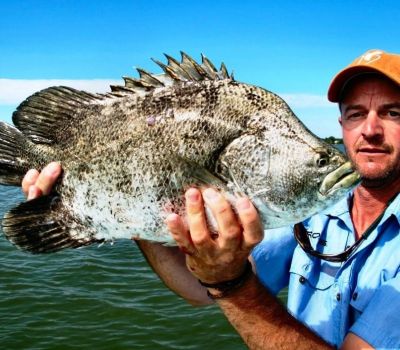 Saltwater Fish Species - Straight Fish – Jeff Currier