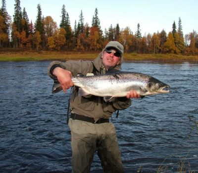 Atlantic salmon fly fishing in Umba River on Kola Peninsula.