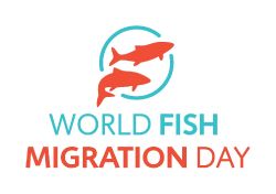 Día Mundial del Pez Migratorio