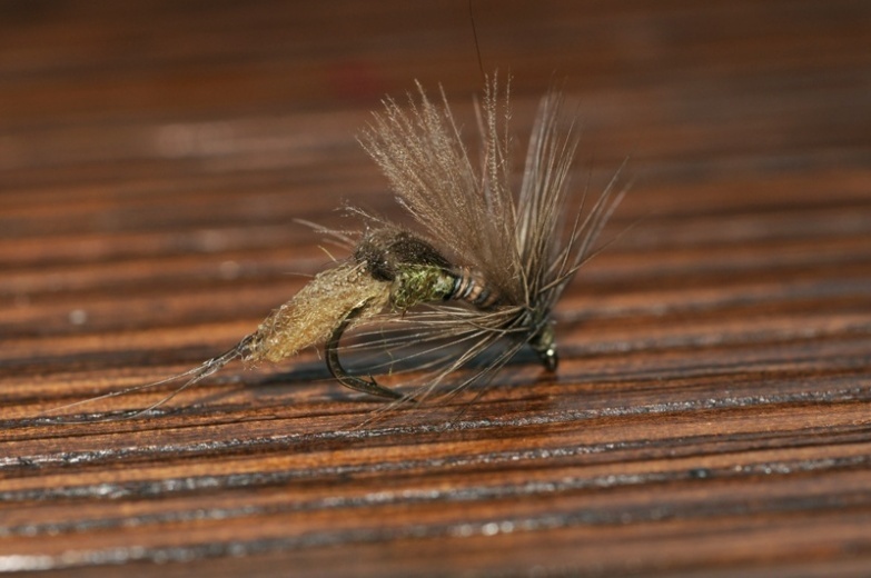 X-Caddis dry fly video tutorial