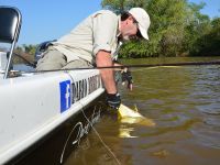 Fly fishing picture