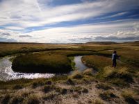 Fly fishing picture