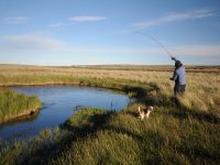 Fly fishing picture