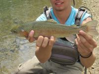 Fly fishing picture