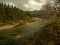 Fly fishing picture