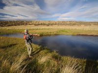 Fly fishing picture