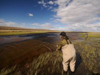 Fly fishing picture