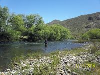 Fly fishing picture