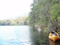 Fly fishing picture