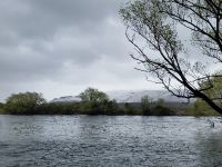 Contemplando el Limay