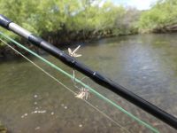 Fly fishing picture