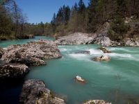 Sava river