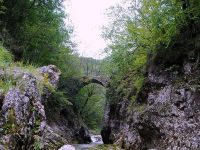 Trebuščica river