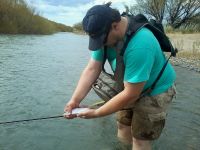 Fly fishing picture