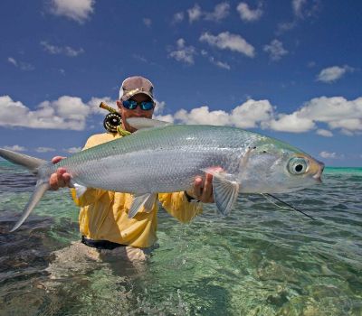 Spartina Green - A Low Country Story - Flylords Mag