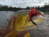 Foto de pesca con mosca