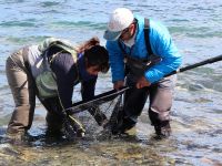 Foto de pesca con mosca