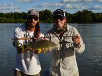 Fly fishing picture