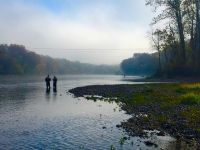 Fly fishing picture