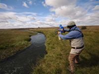 Fly fishing picture