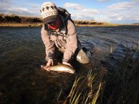 Fly fishing picture