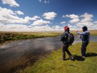 Fly fishing picture