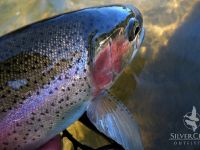 Winter rainbow's are common in Sun Valley! 
Photo Bryan Huskey