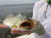 Rule #1: No lipping saltwater fish!