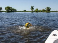 Fly fishing picture