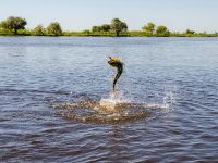 Fly fishing picture