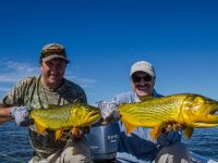 Fly fishing picture