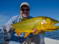 Fly fishing picture