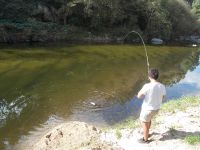 Fly fishing picture