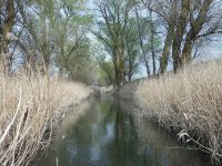 Fly fishing picture