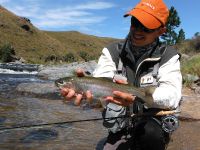 Fly fishing picture