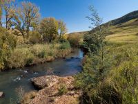 The lower Bushmans river