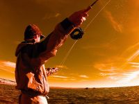 Fly fishing picture