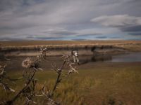 Fly fishing picture