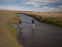 Fly fishing picture