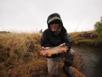 Fly fishing picture