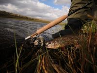 Fly fishing picture