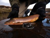 Fly fishing picture