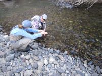 Fly fishing picture